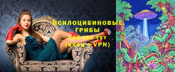 хмурый Михайлов