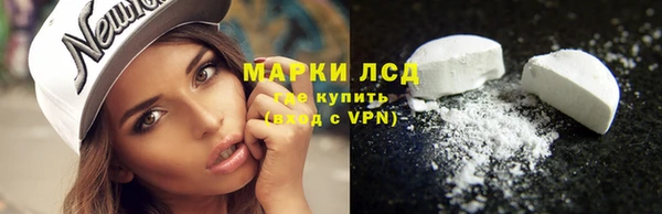 ГАЛЛЮЦИНОГЕННЫЕ ГРИБЫ Медногорск