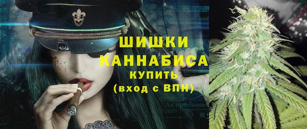 ГАЛЛЮЦИНОГЕННЫЕ ГРИБЫ Медногорск