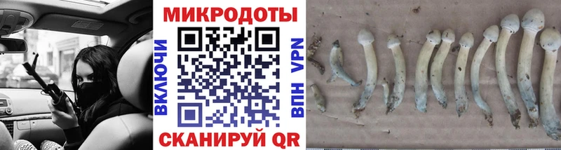 Псилоцибиновые грибы Psilocybe Томмот